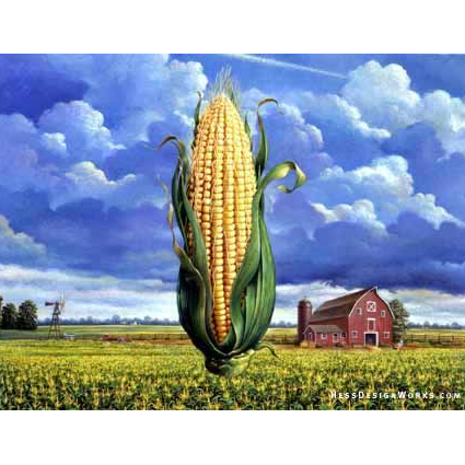 Corn Corn